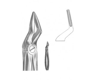 Extracting Forceps English pattern